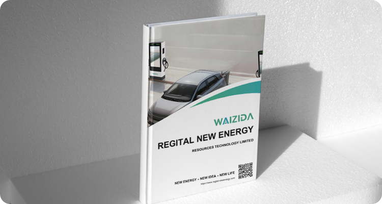 2026-WAIZIDA-Presentation