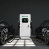 WAIZIDA Model D6 EV Charging Station